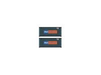 Pirata PI22519 - N - Container 20 P&O Nedlloyd (2 Stück)
